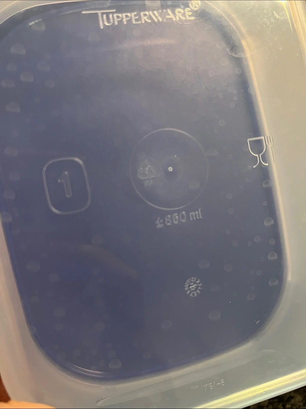 Tupperware image features